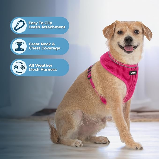 Best Pet Supplies Voyager Aerolite Over the Head Dog Harness, No Pull Breathable Air Mesh Vest, Quick Dry with Reflective Stitching, Adjustable Escape Resistant Harness - Fuchsia, Small