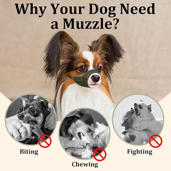 Fabric Dog Muzzle for Short Snout Small Dogs Chihuahuas Anti-Bite | Fits Shih Tzu Pomeranian Yorkshire Brachycephalic Dog, Grooming Vet Visits Walking Use, Prevent Chewing, Soft | Green, XXS
