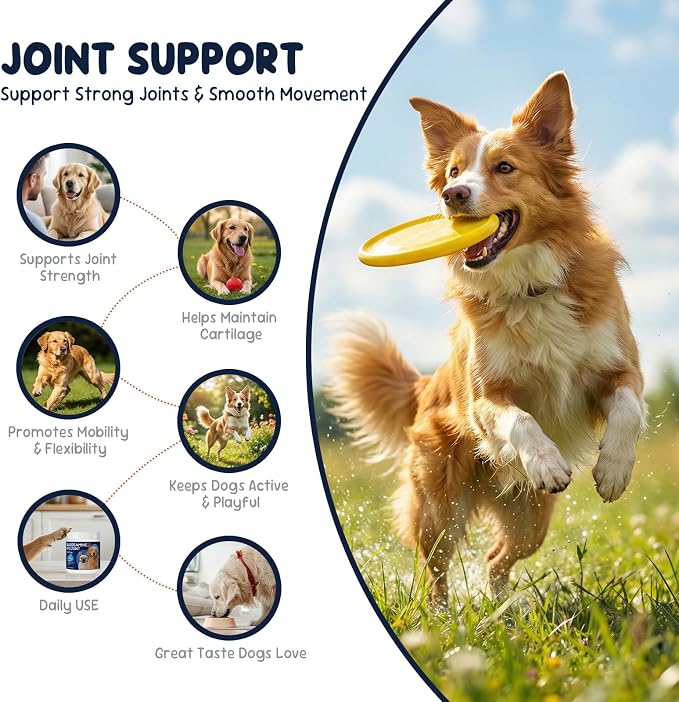 Dog Joint Support Supplement – Glucosamine, Chondroitin & MSM for Hip & Joint Function Support, Flexibility, and Daily Activity – 90 Soft Chews
