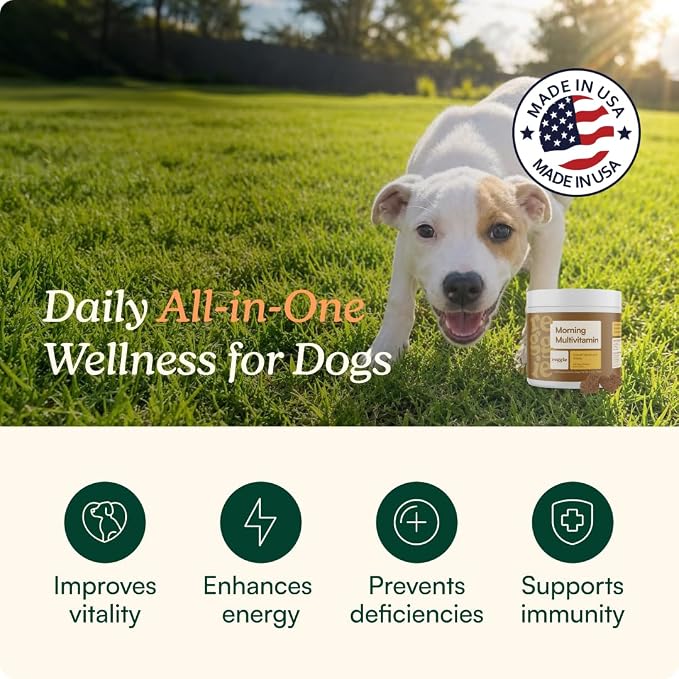 Reggie Daily Immunity Set for Dogs | Supports Healthy Gut, Immune System, and Nutrient Absorption | Made in The USA, Vet-Approved, & Ideal for All Ages, Breeds, and Sizes