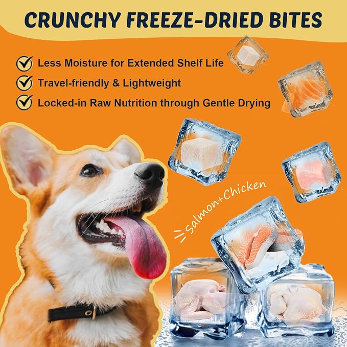 DRFOSTER Omega 3 Salmon Oil for Dogs, EPA & DHA, Skin & Coat, 120 Chews
