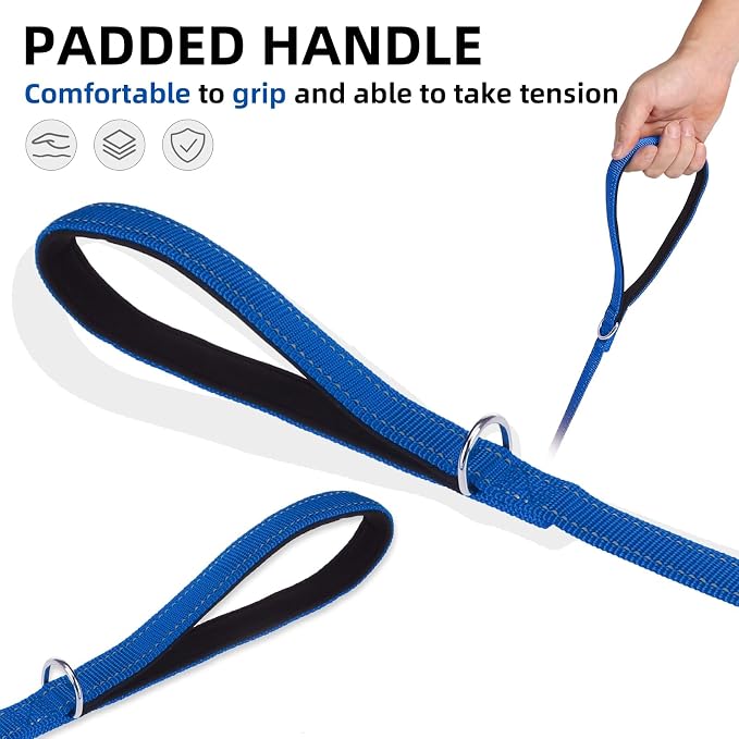 PUPTECK Dog Harness and Leash Set