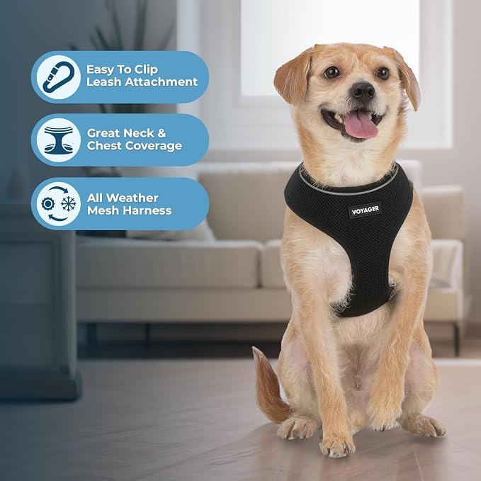 Best Pet Supplies Voyager Aerolite Over the Head Dog Harness, No Pull Breathable Air Mesh Vest, Quick Dry with Reflective Stitching, Adjustable Escape Resistant Harness - Black, Medium