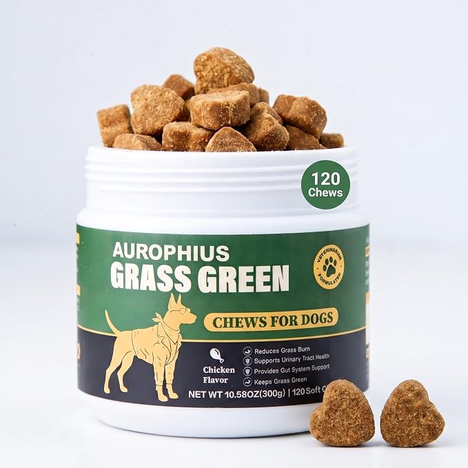 Dog Grass Green Chews for Lawn Burn & Urine Spots, DL-Methionine & Cranberry Supplement, Urine Neutralizer, Supports Urinary Health with Probiotics & Enzymes, 120 Ct