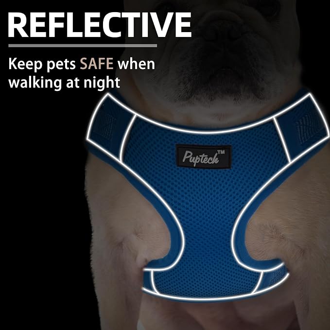 PUPTECK Small Dog Harness and Leash Set, No Pull Adjustable Puppy Cat Harness, Reflective Soft Mesh Pet Vest Small Sized, Blue, M