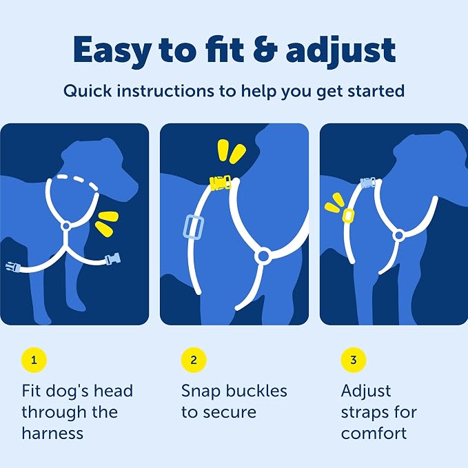 PetSafe 3 in 1 Harness - Fully Adjustable No-Pull Dog Harness - From the Makers of the Easy Walk Harness - Large, Plum | Rests on Chest Not Throat to Reduce Pulling, 5 Adjustment Points, Car Restraint Seatbelt Loop, Reflective Nylon for Low Light
