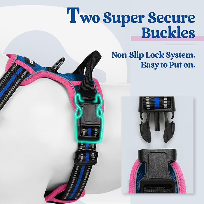 rabbitgoo Dog Harness, No Pull for Large Dogs with 2 Leash Clips, Pet Vest | No Choke with Handle, Adjustable Soft Padded, Reflective, Easy Control for Walking, Blue & Hot Pink, Large
