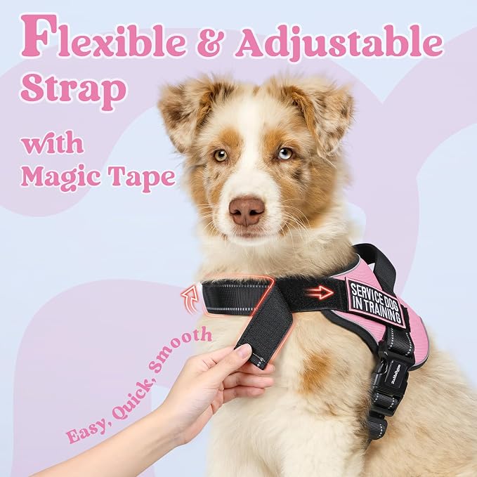 rabbitgoo No Pull No Choke Pet Vest, Adjustable Pet Harness with Molle | Large Sized Dog Harness, Reflective, Easy Wearing with One Buckle for Walking, Training, Pink, L
