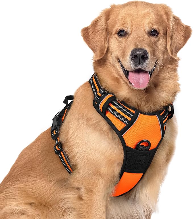 rabbitgoo Dog Harness, No Pull for Large Dogs with 2 Leash Clips, Pet Vest | No Choke with Handle, Adjustable Soft Padded, Reflective, Easy Control for Walking, Orange, X-Large