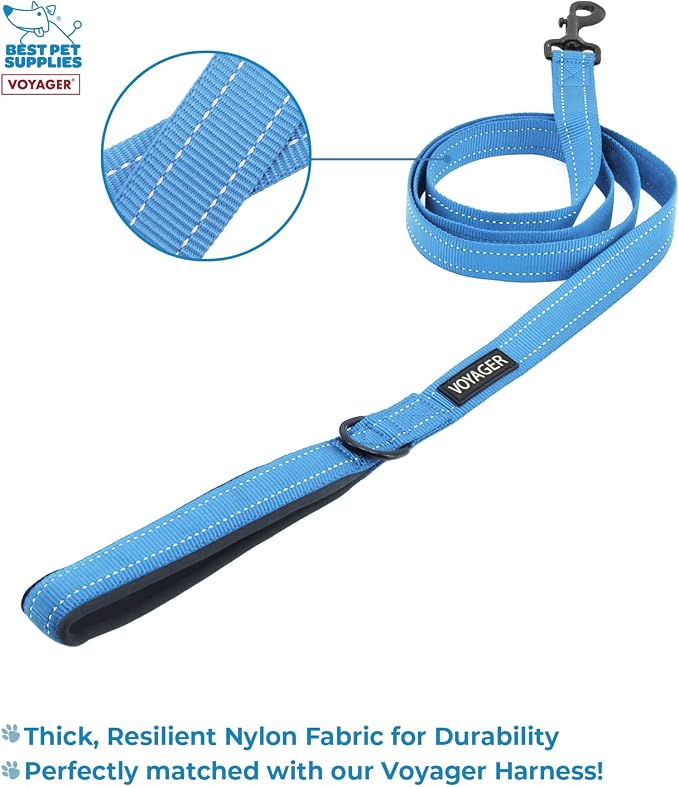 Best Pet Supplies Voyager Step-in Lock Pet Harness w Reflective Pet Leash Combo Set with Neoprene Handle 5ft - Supports Small, Medium and Large Breed Puppies/Cats - Baby Blue/Black Trim, XXXS
