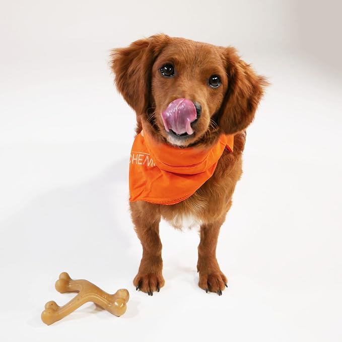 Nylabone Strong Chew Gourmet Style Dog Chew Toy Bundle, Small, 3 Count | Bacon, peanut butter, and chicken flavor, variety of shapes, durable chew toys, long lasting, for dogs up to 25 lbs