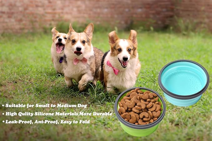 2-Pack Collapsible Silicone Travel Dog Bowls with Lids, 17oz/500ml