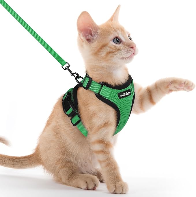 rabbitgoo Cat Harness and Leash Set, Escape Proof Vest, Grass Green | Soft Breathable Mesh, Easy Adjustable Fit, Snap Buckles, Sturdy Clip, Reflective Strips, for Kittens & Small Cats Walks, Xxs
