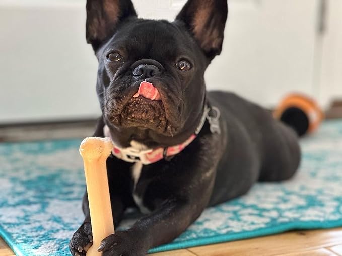Nylabone Power Chew Original Bone Dog Chew Toy, Original Flavor, Small | Durable chew toys, long lasting, flavor throughout, discourages destructive chewing, keeps dogs busy, for dogs up to 25 lbs