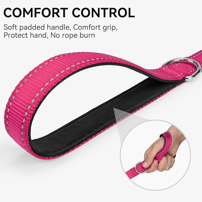 Joytale Reflective Dog Leash for Small Dogs, 6 FT x 3/4", Hotpink | Heavy Duty Nylon Webbing, Padded Handle for Comfort, Visible at Night, for Walking & Training