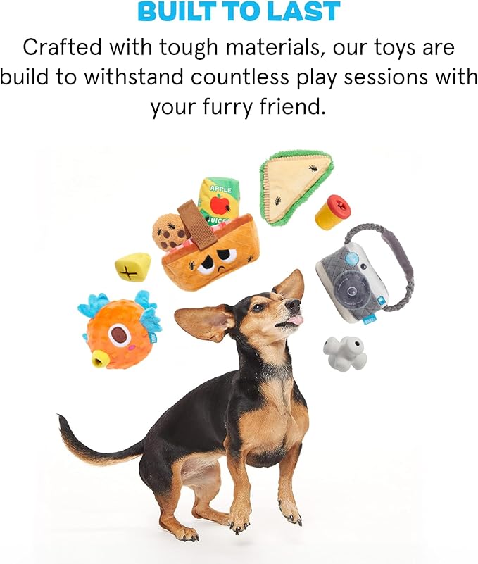 BarkBox Drongo Platypus Dog Toy - for Small to Medium Dogs | Plush Rip & Reveal Toy with Whip-N-Flip Tail, 2 Squeakers & Hidden Bonus Toys Inside