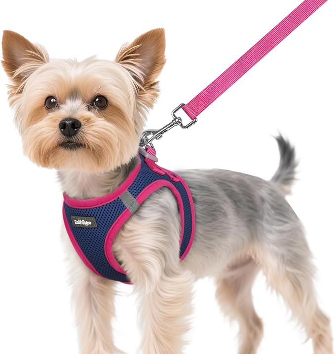 rabbitgoo Dog Harness Small Sized and Leash Set, Step in Soft Vest | Breathable Mesh, Easy Wear with Hook & Loop, Light and Reflective for Walking, Multi-colored, Navy Blue & Rose Red, XS