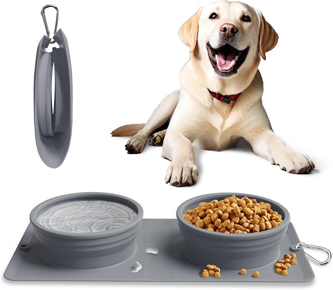 Collapsible Portable 2-in-1 Dog Bowl with Carabiner, Grey
