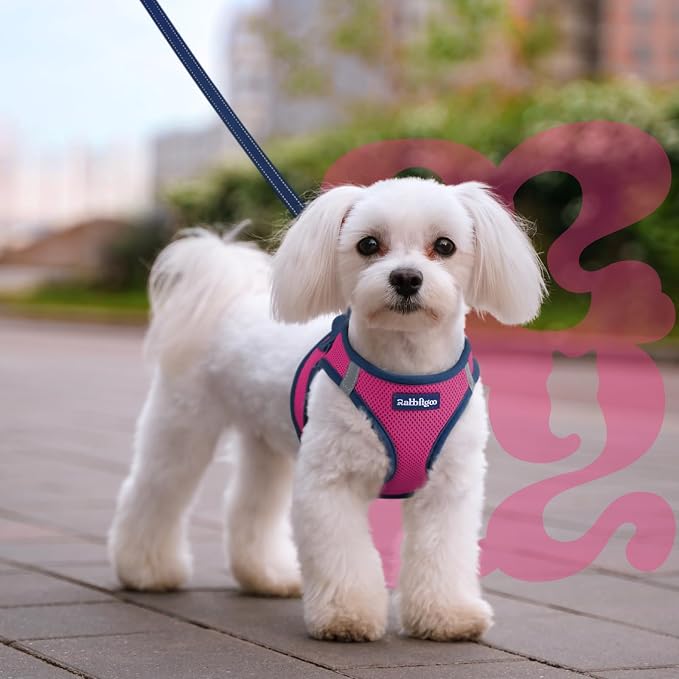 rabbitgoo Dog Harness Small Sized and Leash Set, Step in Soft Vest | Breathable Mesh, Easy Wear with Hook & Loop, Light and Reflective for Walking, Multi-colored, Rose Red & Navy Blue, L