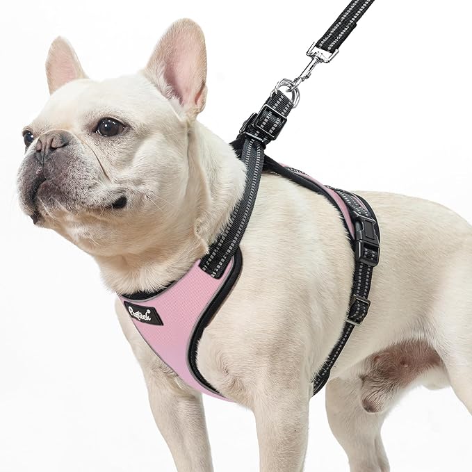 PUPTECK Dog Harness and Leash Set Medium Sized, Adjustable Reflective Escape Proof Puppy Vest, No Pull Walking Harness Easy Control
