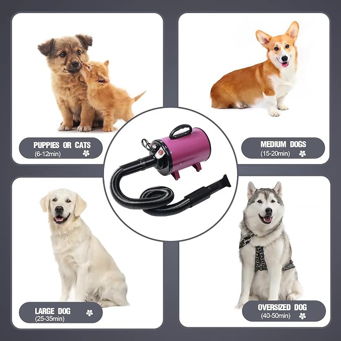 2800w 75m/s Pet Dryer Stepless Adjustable Speed Temperature Dogs Grooming Blow Dryer with Heater for Pets Hair Dryer