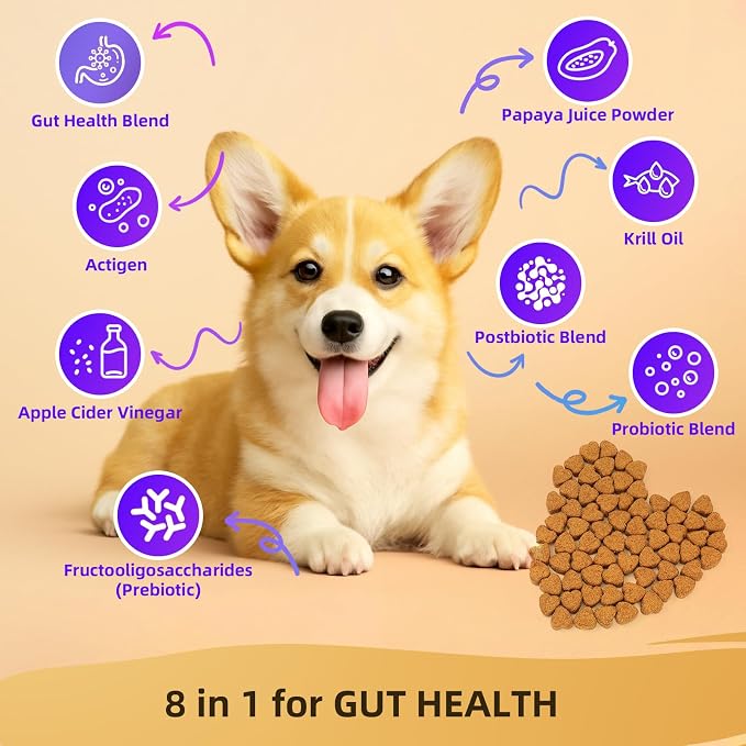 Dog Probiotic Chewable Tablets with Prebiotic, Apple Cider Vinegar & Papaya Powder, Pork Flavor Daily Digestive Supplement for All Breeds Dogs, 90 Count