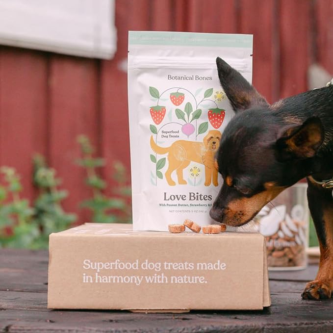 Love Bites Healthy Natural Dog Treats, Oven Baked Dog Cookies with Peanut Butter, Strawberry & Beet, Grain Free Limited Ingredient Snacks for Dogs, 2 Pack