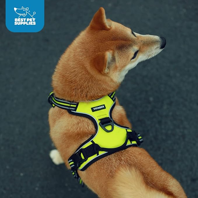 Voyager Dual Attachment No Pull Harness - Turquoise, Medium | 20 - 25" in Chest, No Pull Dog Harness, Fully Adjustable, 3M Reflective Technology, Front & Back D-Rings, Walking & Training