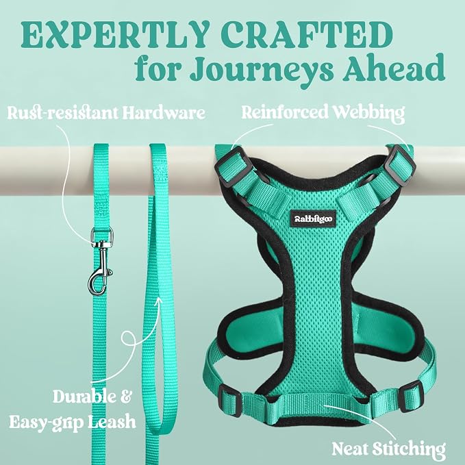 rabbitgoo Cat Harness and Leash Set, Escape Proof Vest, Emerald | Soft Breathable Mesh, Easy Adjustable Fit, Snap Buckles, Sturdy Clip, Reflective Strips, for Average Cats Walks, S