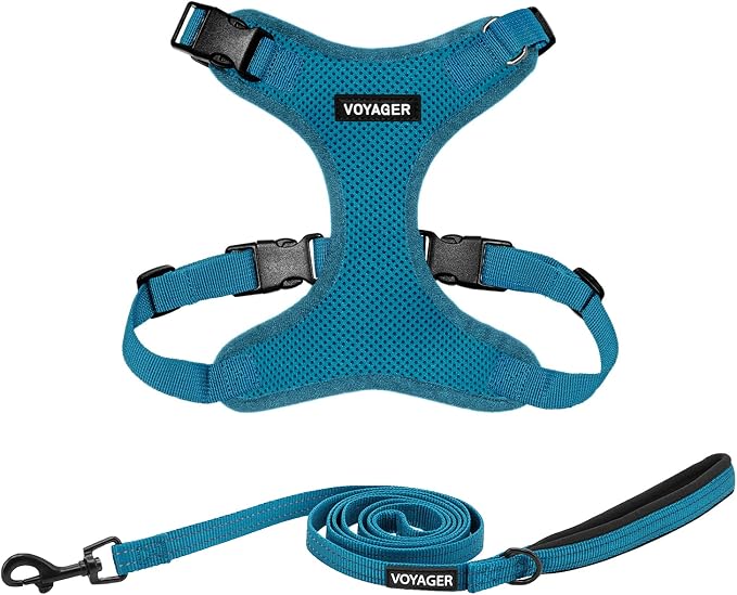 Best Pet Supplies Voyager Step-in Lock Pet Harness w Reflective Pet Leash Combo Set with Neoprene Handle 5ft - Supports Small, Medium and Large Breed Puppies/Cats - Turquoise Set, L