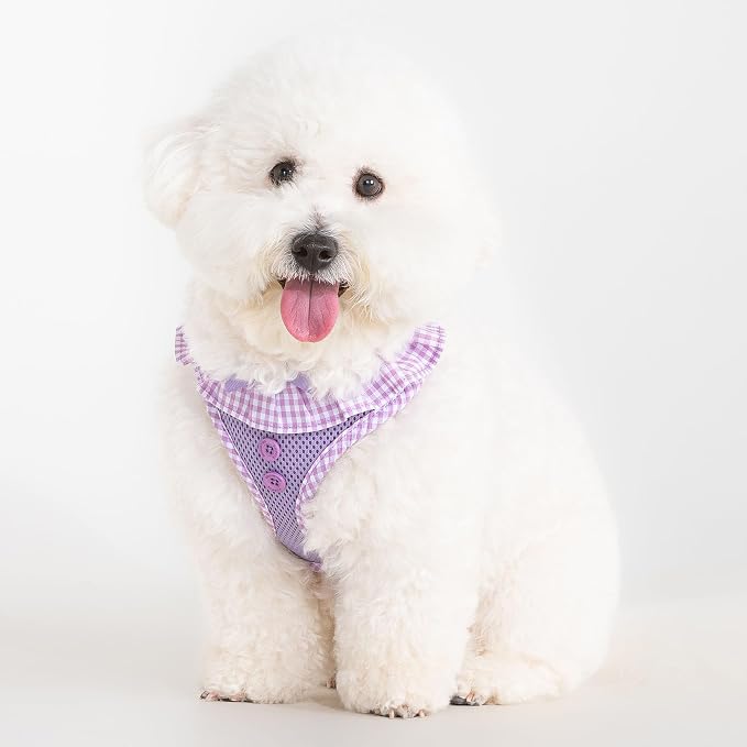 Puppia Vivien Dog Harness A (Over-the-Head) Fashionable Mesh Spring Summer Harness for Small Dogs, Violet, Large