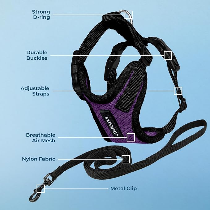 Voyager Escape-Proof Step-in Lock Cat Harness & 5ft Neoprene-Handle Leash Set All-Weather Mesh with Reflective Stitching for Small to Large Cats by Best Pet Supplies, Purple/Black Trim, S