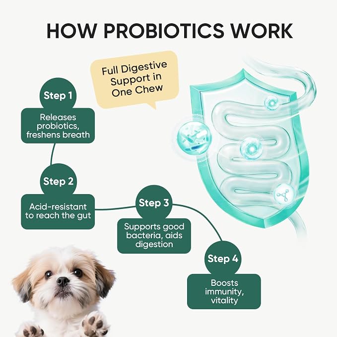 Probiotics for Dogs Gut Digestive Health Probiotic Chews 200 Ct Duck