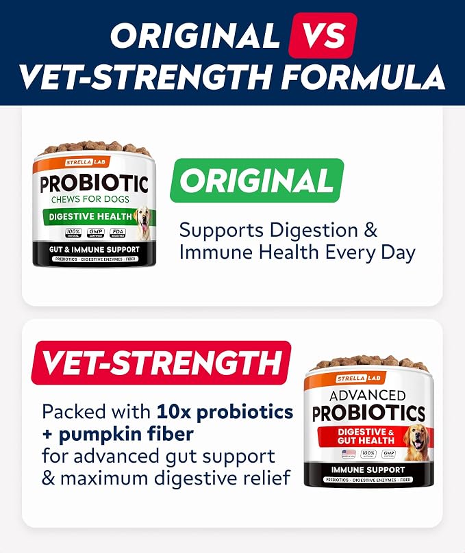 STRELLALAB Advanced Dog Probiotics Chews - 60 Billion CFU per jar