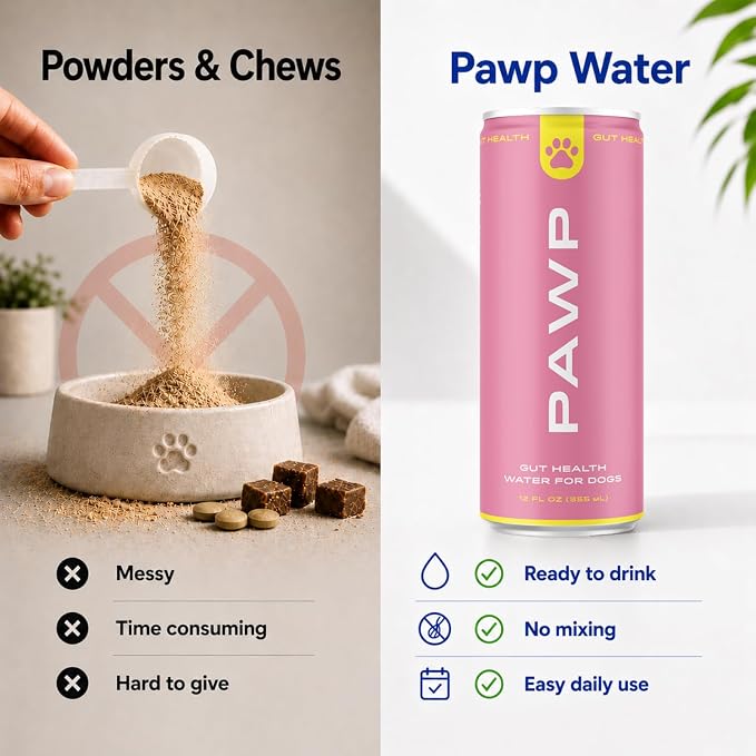 Gut Health Hydration for Dogs by PAWP WATER | Prebiotic & Postbiotic | Supports Digestion, Gut Balance & Immune Health | 6 Resealable 12 oz Cans