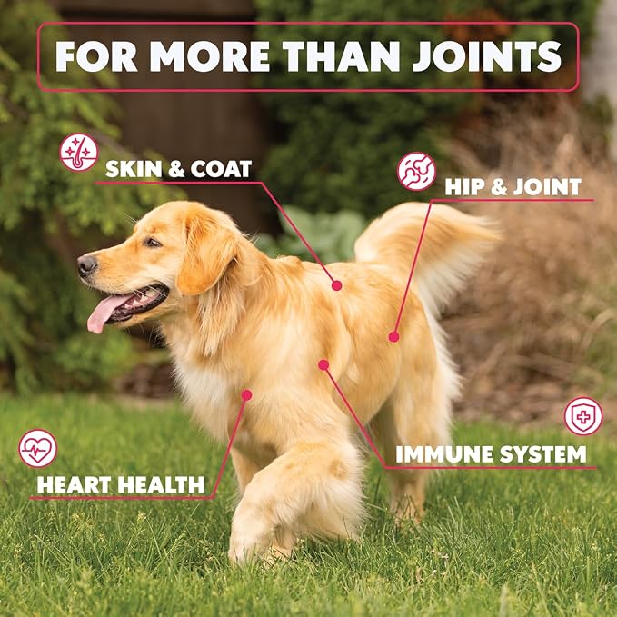 Super Chew, Advanced Hip and Joint Supplement for Senior Dogs, Full Body Support with Glucosamine, Chondroitin, DHA, Taurine, 120 Fish Flavored Soft Chews