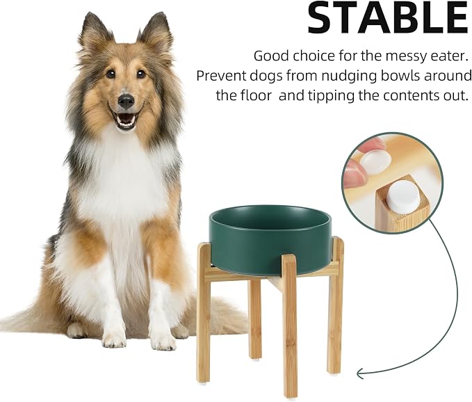 Havniva 8.3” Dog Bowls Elevated Ceramic Dog Food and Water Bowl, Raised Dog Water Bowl with Stand Non-Slip Rubber Base Large Capacity Feeding Pet Food Bowl for Large Dogs