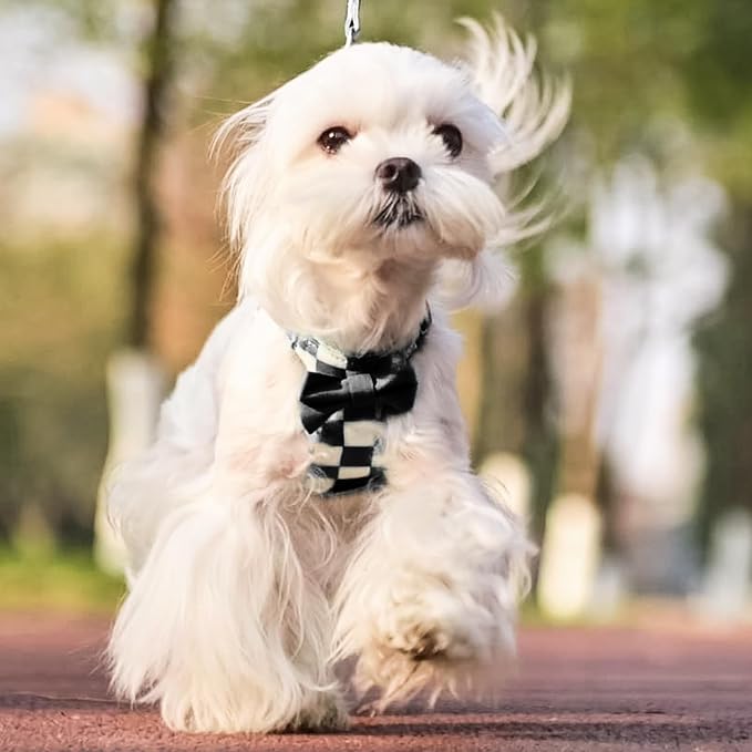 PUPTECK Dog Harness and Leash Set Small Sized, Lightweight Step-in Puppy Harness, Escape Proof No Pull Cute Pet Vest Harnesses, Black&White Checkered XS