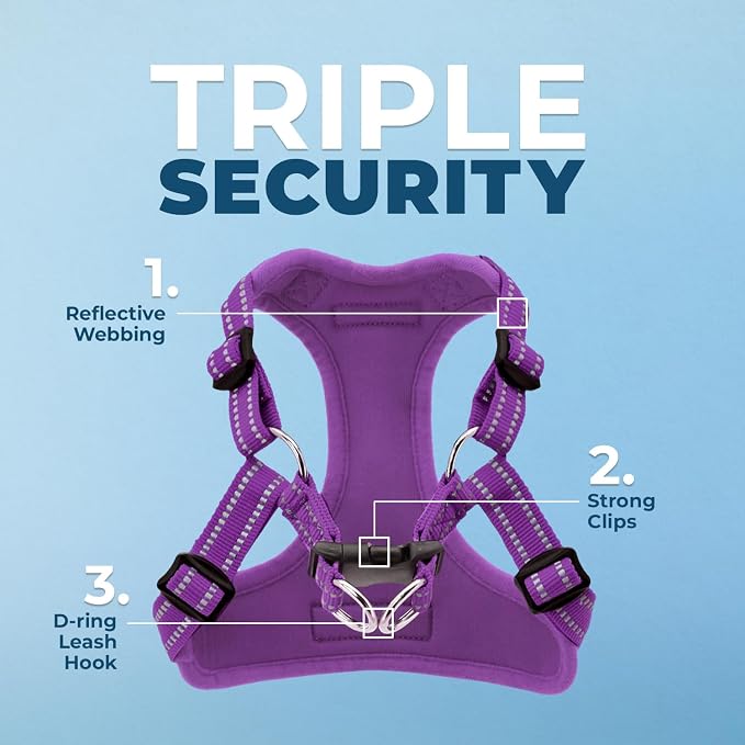 Voyager Step-in Flex Adjustable Dog Harness - Purple, Medium | 17 - 21" in Chest, Fully Adjustable, Reflective Bands, All Weather Breathable Air Mesh, Lightweight, Fast Drying