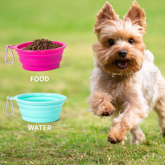 SLSON Macaron Collapsible Dog Bowl, 2 Pack, Small, Bright Pink & Bright Green