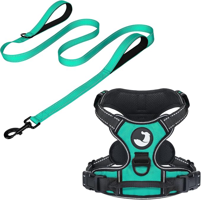 4FT Double Handle Dog Leash for Training and Dog Harness (Chest: 14-28"), Reflective Leashes for Medium Dogs and Adjustable Soft No Pull Harness (Teal,M)