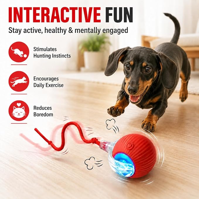 2-Pack Smart Interactive Automatic Electric Rolling Moving Rechargeable Motion Activated Self Play Stimulation Chase Teaser Ball Toy with Rope for Indoor Bored Adult Cat and Dog, Red+Red