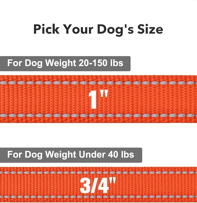 Taglory Reflective Dog Leash for Medium Large Dogs, 1in x 6ft, Orange | Ideal for Night Walking, Strong for Sudden Pulls, Lightweight & Gentle on the Neck, Soft Padded Handle
