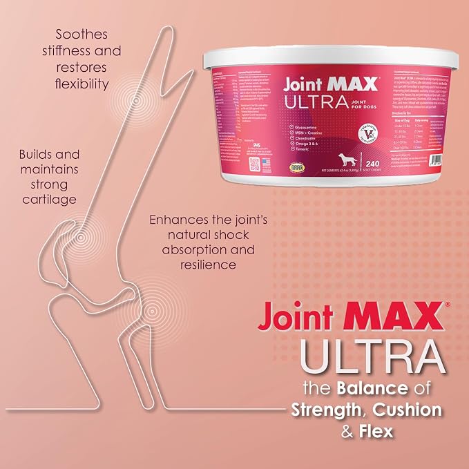 Ultra Advanced Hip & Joint Support for Dogs – All-in-One Soft Chews with Glucosamine, MSM, Omega-3s (EPA & DHA), Hyaluronic Acid & Boswellia – Maximum Strength Mobility & Comfort – 240 Chews