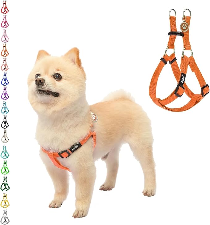PUPTECK No Pull Dog Harness Small Sized Step-in Adjustable Puppy Vest | Soft Webbing Basic Halter with ID Tag for Outdoor Walking
