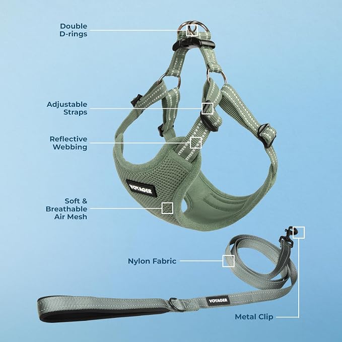 Best Pet Supplies Voyager Adjustable Step-in Flex Breathable Mesh Dog Harness for Small Medium Large Dogs Leash Set (Moss Green), S