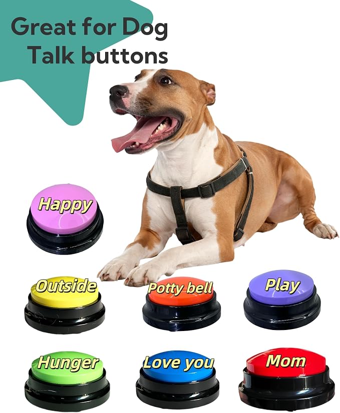 Dog Talk Buttons Voice Recording Button, Green