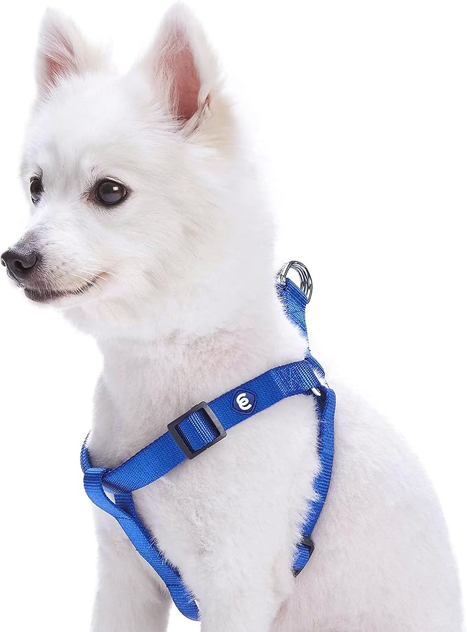 Blueberry Pet Essentials Step-in Dog Harness, Medium Size | Adjustable Royal Blue Vest | Classic Solid Nylon for Boy & Girl Dogs, Chest Girth 20" -26"