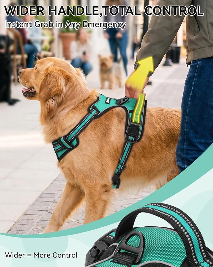 Joytale No Pull Dog Harness & Seat Belt, Easy On 3-Buckle, S, Teal | Front Clip Reduces Pulling, Escape-Resistant Design, Adjustable Fit, Soft Padding for Comfort, Secure Tether for Safer Travel