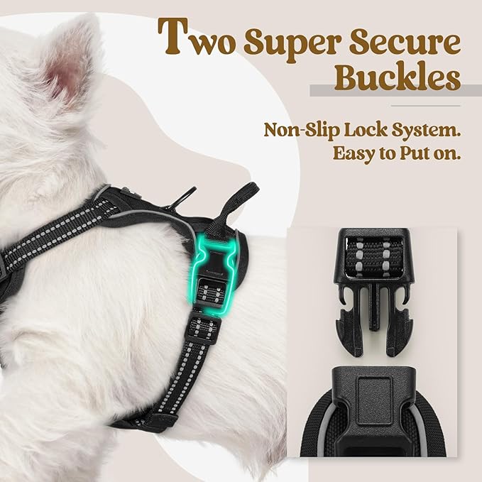 rabbitgoo Dog Harness, No Pull for Small Dogs with 2 Leash Clips, Pet Vest | No Choke with Handle, Adjustable Soft Padded, Reflective, Easy Control for Walking, Black, X-Small